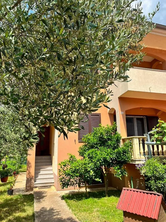 Spacious Apartment With Free Parking And Garden In Calm Area Zadar 0*,  Croatia