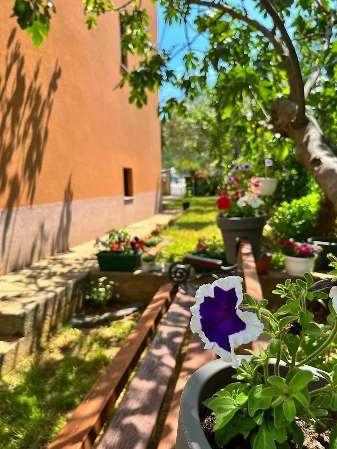 Spacious Apartment With Free Parking And Garden In Calm Area Zadar Croatia