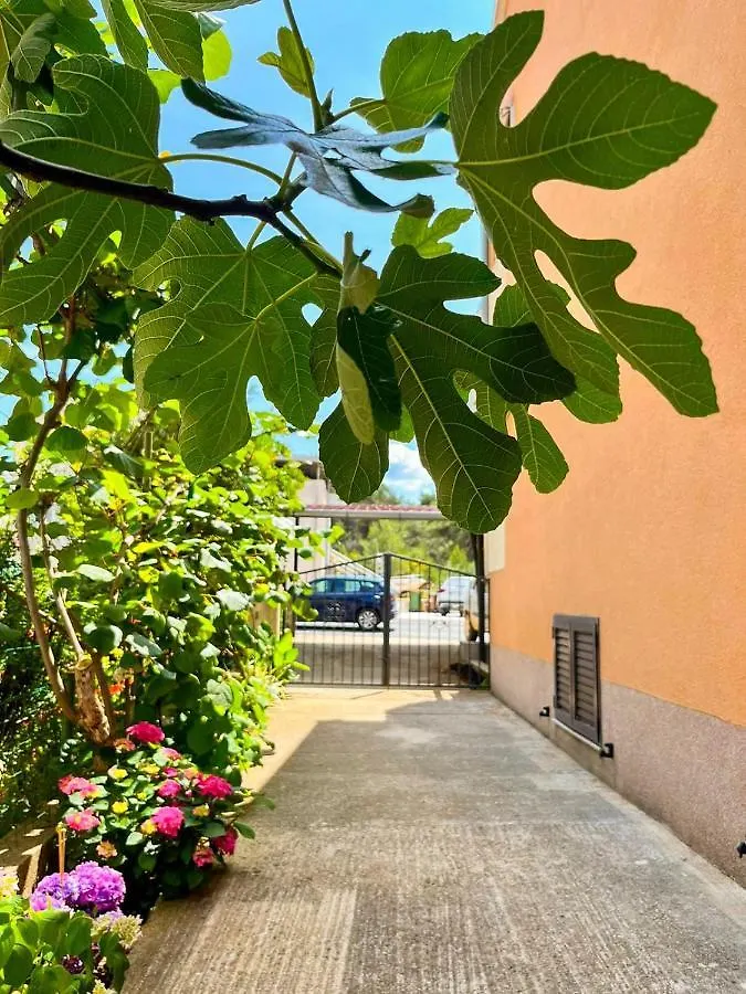 Spacious Apartment With Free Parking And Garden In Calm Area Zadar