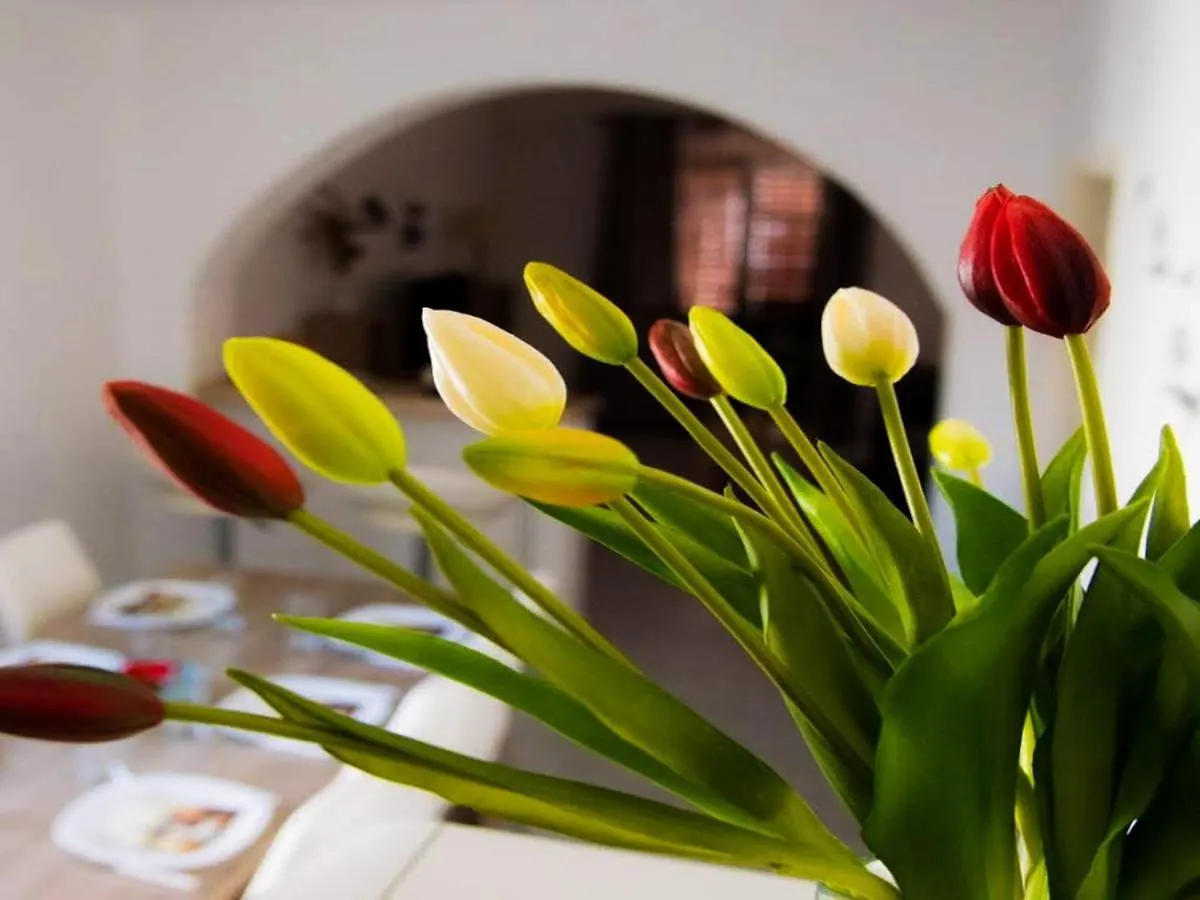 Spacious Apartment With Free Parking And Garden In Calm Area Zadar Croatia